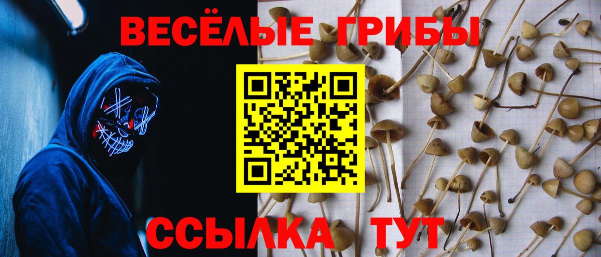 Братск  Галлюциногенные грибы Magic Shrooms  Вход с VPN  Галлюциногенные грибы мицелий 